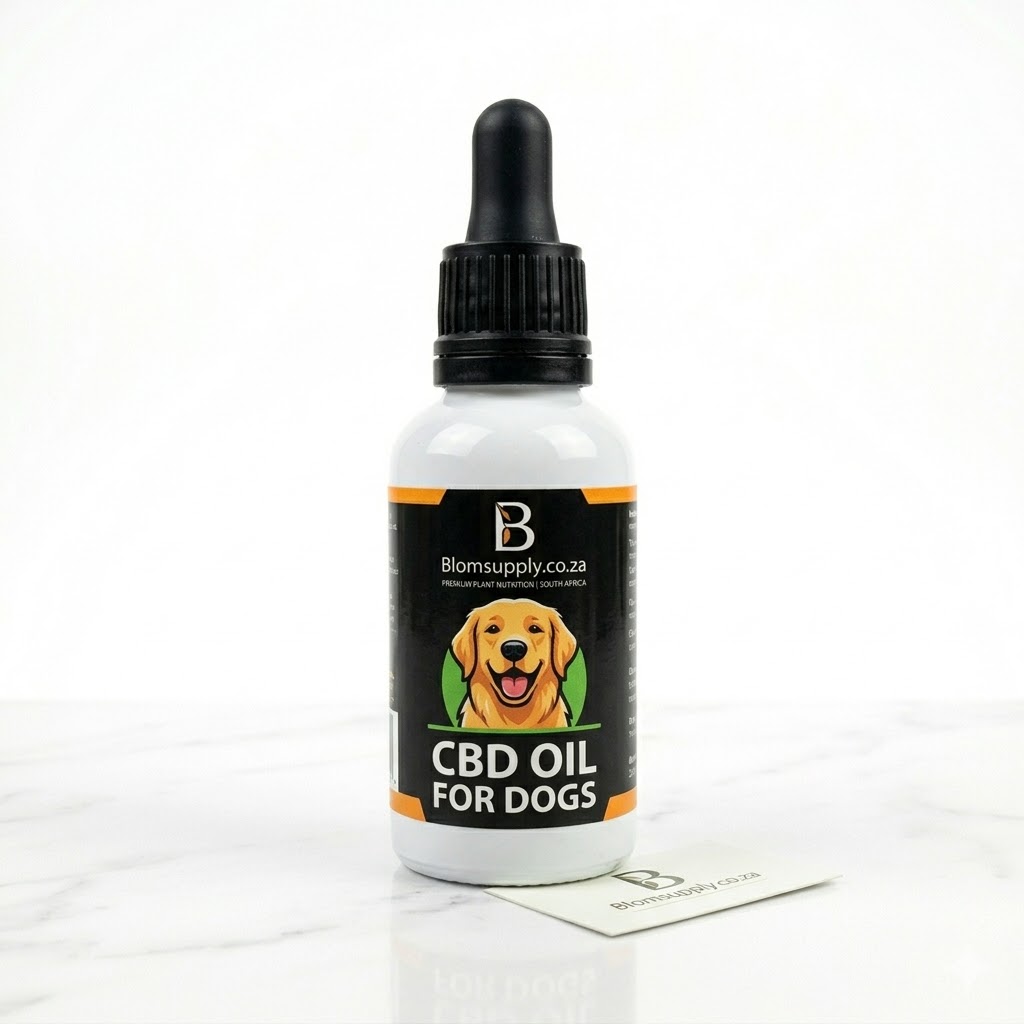 CBD oil for dogs South Africa Blomsupply pet wellness